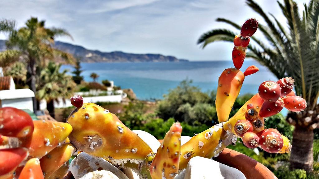 Appartement Carabeo